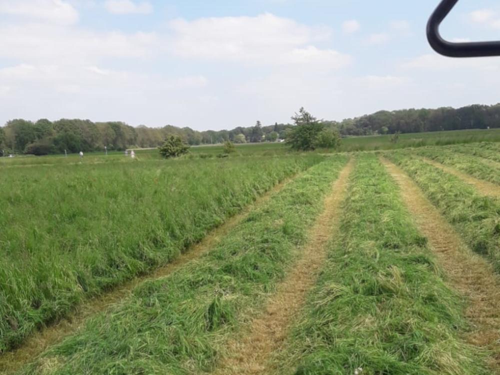 frisch geschnittenes Gras auf dem Bauernhof Mankwald